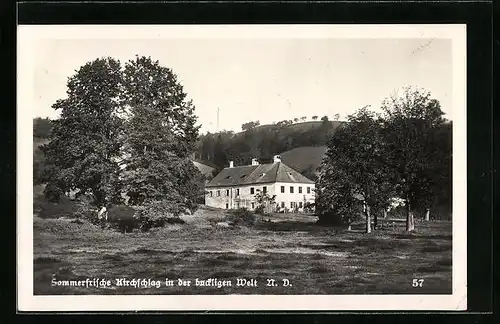 AK Kirchschlag in der Buckligen Welt, Ortspartie