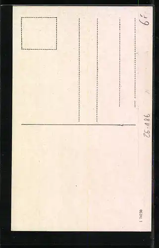 Künstler-AK Eugen Felle: Dürnstein, Die Donau von Passau bis Wien, Vogelschaubild N. 10