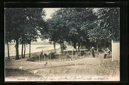 AK Plau am See, Gasthof Seelust mit Park