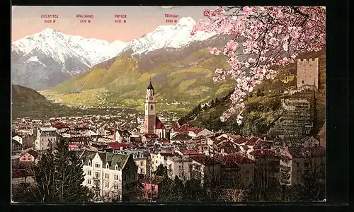 AK Meran, Ortsansicht mit Zielspitze, Roteck