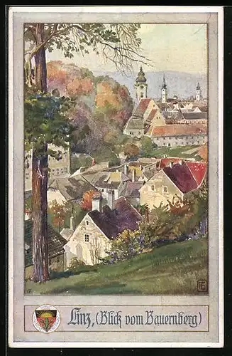 AK Deutscher Schulverein Nr.: 486, Linz, Blick vom Bauernberg