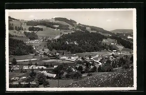 AK Necker Togg, Ortsansicht mit umliegenden Hügeln
