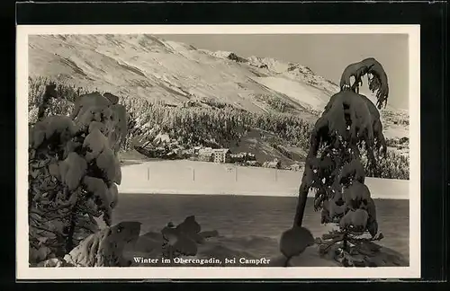 AK Oberengadin b. Campfer, Ortsansicht im Schnee