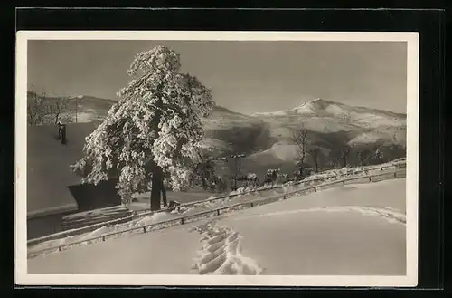AK Rehetobel, Ortspartie im Winter