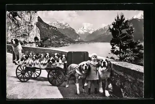 AK Flüelen, St. Bernhard, Welpen mit Kleinkind
