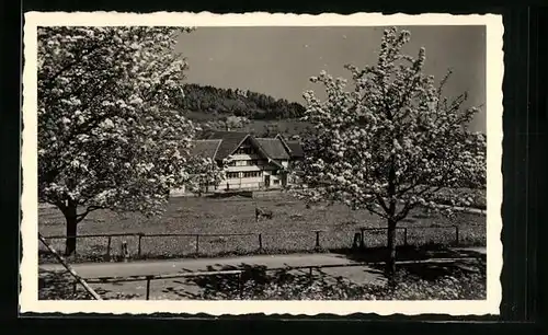 AK St. Gallen, Ortsansicht im Frühling