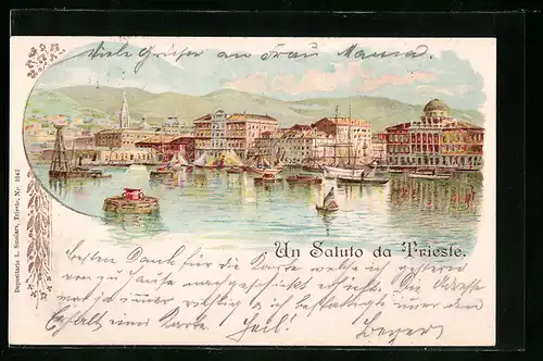 Lithographie Trieste, Panorama