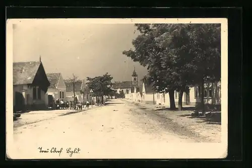 AK Trausdorf, Strassenpartie mit Kirche