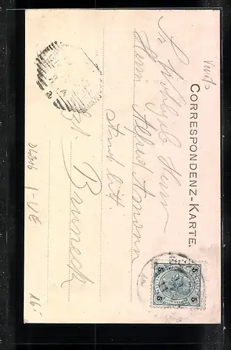 AK Loranzago di Cadore, Albergo Stella Alpina, Panorama