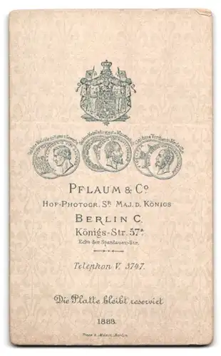 Fotografie Pflaum & Co., Berlin, Königstr. 57a, Dame mittleren Alters mit Hochsteckfrisur im hochwertigen Kleid