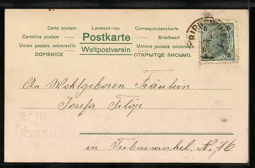 Lithographie Glückwünsche zum Namenstag, Dame mit Engelchen