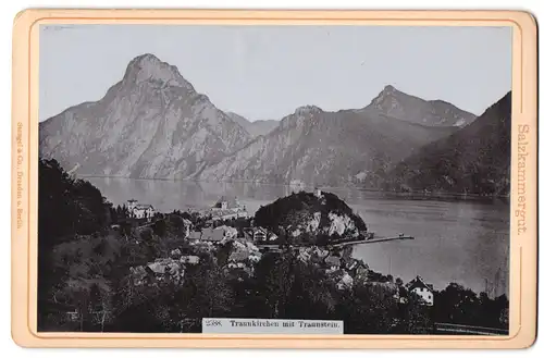 Fotografie Stengel & Co., Dresden, Ansicht Traunkirchen, Blick auf den Ort mit den Alpen