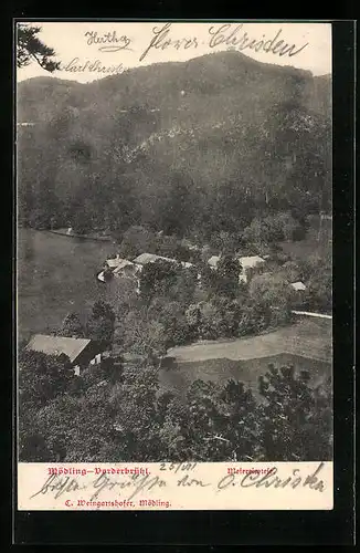 AK Mödling-Vorderbrühl, Meiereiwiese aus der Vogelschau