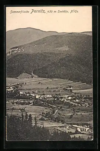 AK Pernitz, Sommerfrische aus der Vogelschau