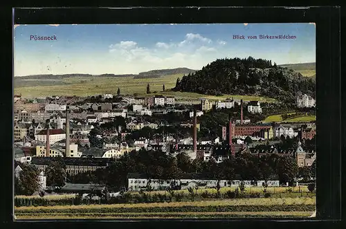 AK Pössneck, Blick vom Birkenwäldchen