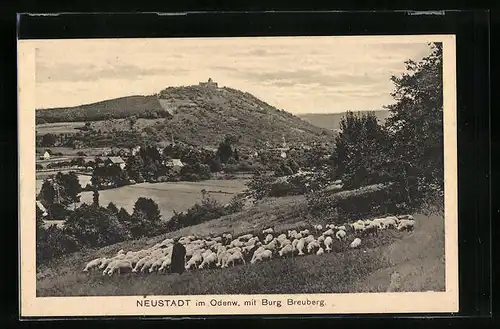 AK Neustadt /Odenwald, Schafe und Burg Breuberg