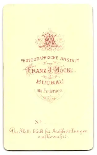 Fotografie Franz Mock, Buchau am Federsee, Herr im Anzug mit Bart