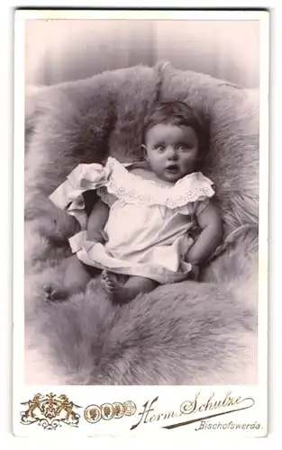 Fotografie Herm. Schulze, Bischofswerda, Hohe-Str. 4, Portrait eines Kleinkindes auf Felldecke