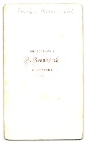 Fotografie F. Brandseph, Stuttgart, Herr im Anzug mit Bart