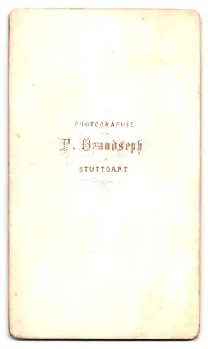 Fotografie F. Brandseph, Stuttgart, Herr im Anzug mit Bart