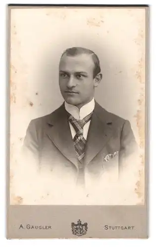 Fotografie A. Gaugler, Stuttgart, Junger Herr im Anzug mit karierter Krawatte