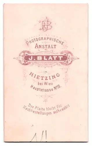 Fotografie J. Blatt, Wien-Hietzing, Hauptstrasse 10, Bürgerliche Dame mit Hochsteckfrisur