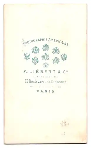 Fotografie A. Liebert & Co., Paris, französiche Dame im seidenen Reifrockkleid