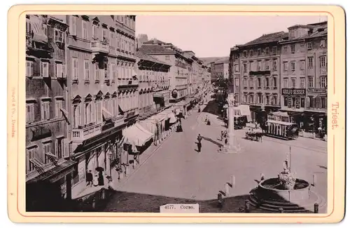 Fotografie Stengel & Co., Dresden, Ansicht Triest, Pferdebahn am Corso mit Säule und Geschäften