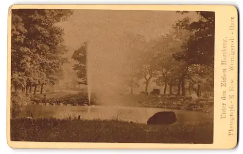 Fotografie E. Rose, Wernigerode, Ansicht Harzburg, Blick in die Anlage Unter den Eichen, Fontaine