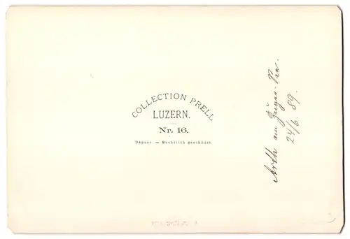 Fotografie Collextion Prell, Luzern, Ansicht Arth, Blick auf den Ort mit der Rigibahn, 1889
