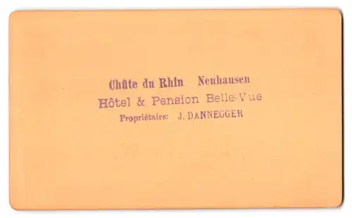 Fotografie J. Dannegger, Neuhausen am Rheinfall, Ansicht Neuhausen / Rheinfall, Chut du Rhin