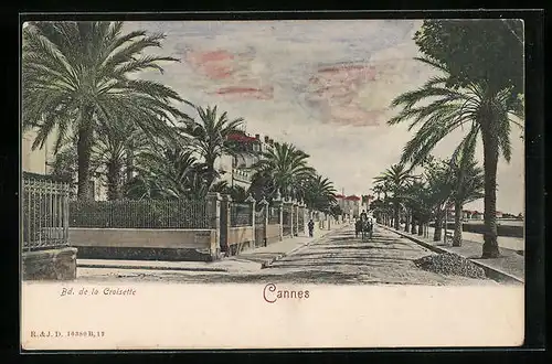 AK Cannes, Boulevard de la Croisette