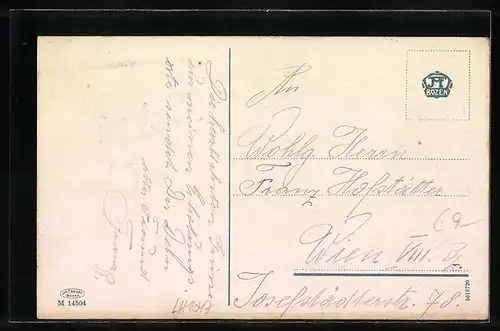 AK Meran, Ortsansicht aus der Vogelschau