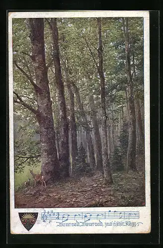 AK Deutscher Schulverein Nr. 889: zwei Rehe stehen friedlich im Wienerwald