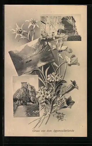 AK Aescher /Appenzell, Bergweg, See mit Bergen, Ortspartie