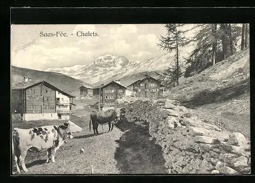 AK Saas-Fée, Chalets