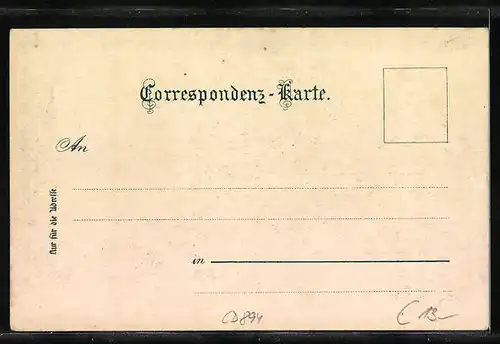 AK Sterzing, Strassenpartie mit Rathaus