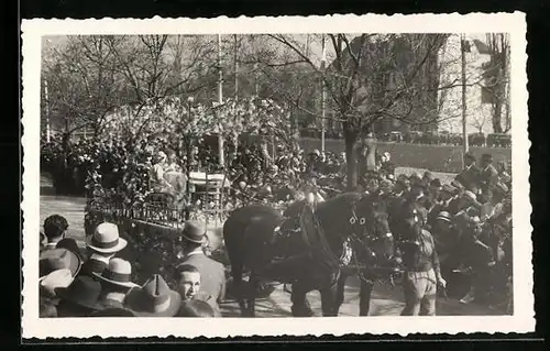 Foto-AK Meran, Umzugswagen Dornröschen