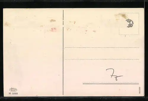 AK Mezolombardo, Panorama