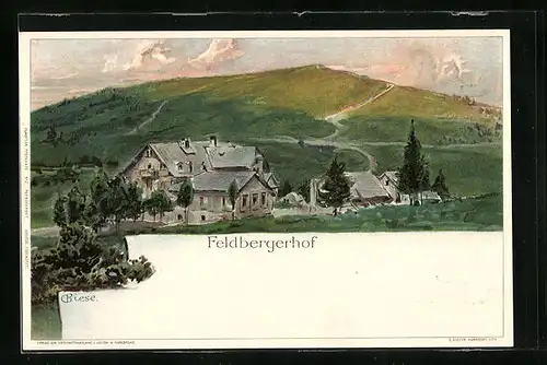 Künstler-AK Carl Biese: Feldbergerhof, Panorama