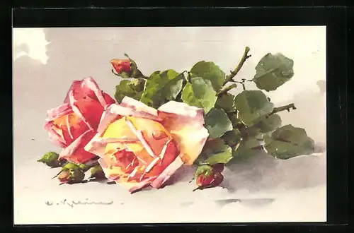 Künstler-AK Catharina Klein: Zwei Rosen mit Knospen
