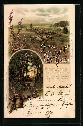 Lithographie Impressionen aus der Lüneburger Heide, Schnuckenherde, Bienenkorb