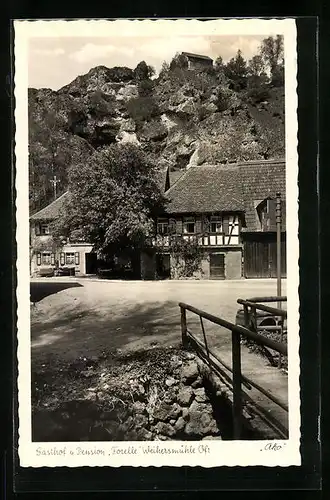 AK Weihersmühle über Bamberg, Gasthof und Pension Forelle