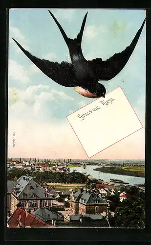 AK Riesa, Teilansicht und Schwalbe mit Nachricht