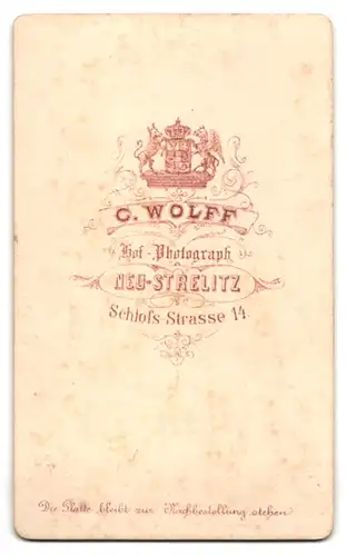 Fotografie C. Wolff, Neu-Strelitz, Schloss-Strasse 14, Dame im Tournürenkleid mit geflochtenen Haaren