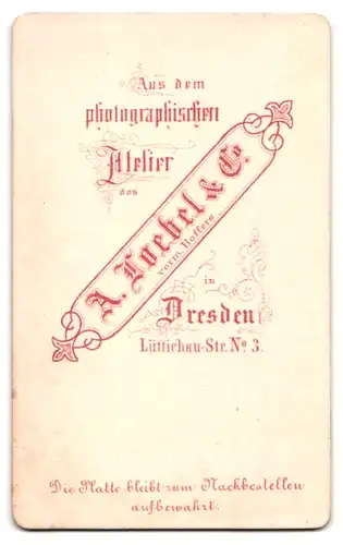 Fotografie A. Toebel & Co., Dresden, Lüttichau-Str. 3, Junger Herr im Anzug