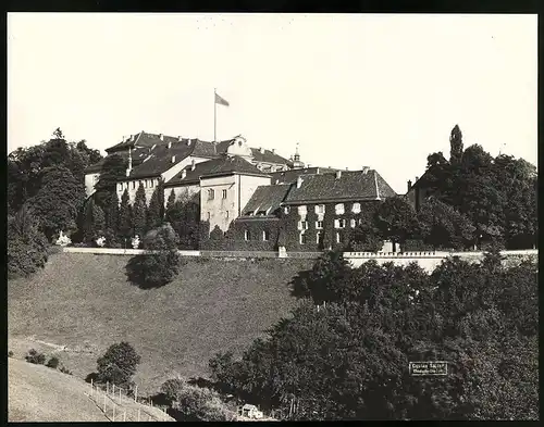 Fotografie Gustav Salzer, Baden-Baden, Ansicht Baden-Baden, Neues Schloss, Grossformat 27 x 20cm
