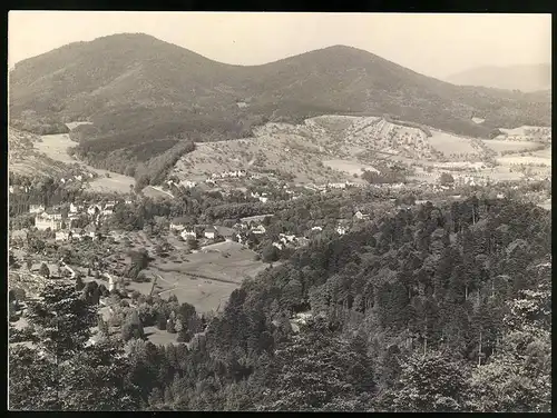 Fotografie Gustav Salzer, Baden-Baden, Ansicht Baden-Baden, Panorama mit Hotel Bellevue, Grossformat 27 x 20cm