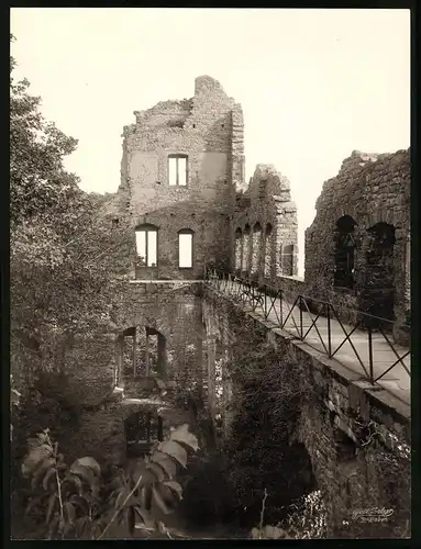 Fotografie Gustav Salzer, Baden-Baden, Ansicht Baden-Baden, Schlossruine Hohenbaden, Grossformat 20 x 27cm