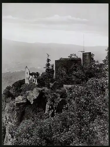 Fotografie Gustav Salzer, Baden-Baden, Ansicht Baden-Baden, Schlossruine Hohenbaden, Grossformat 20 x 27cm